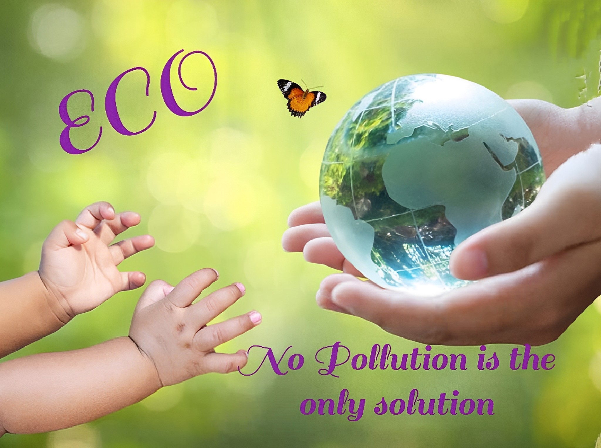 Eco Club