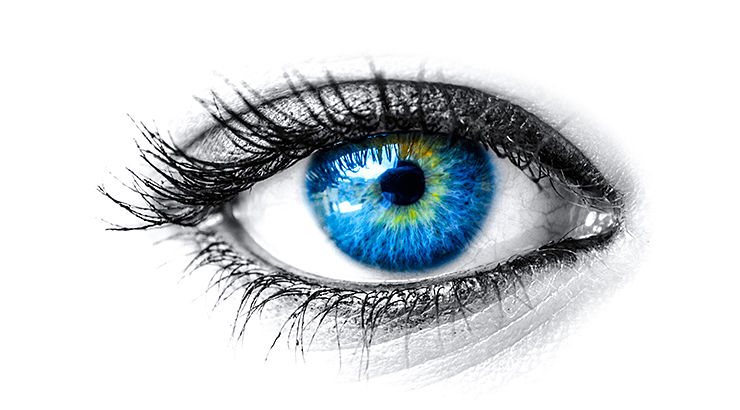 Vision